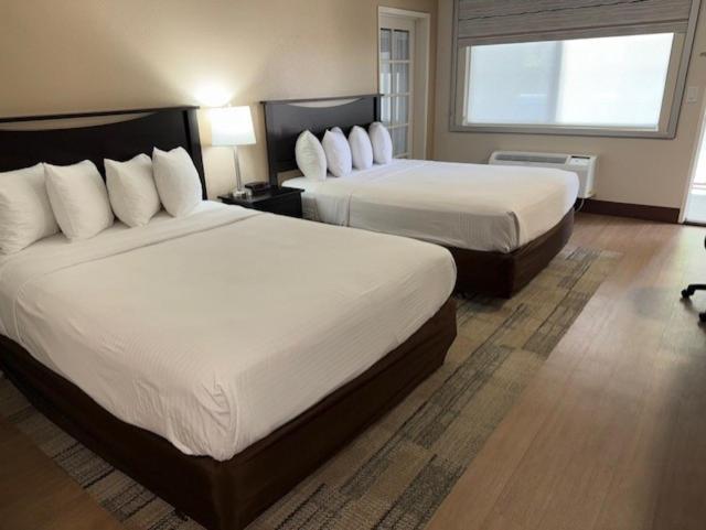 Stanford Inn & Suites Anaheim Eksteriør bilde